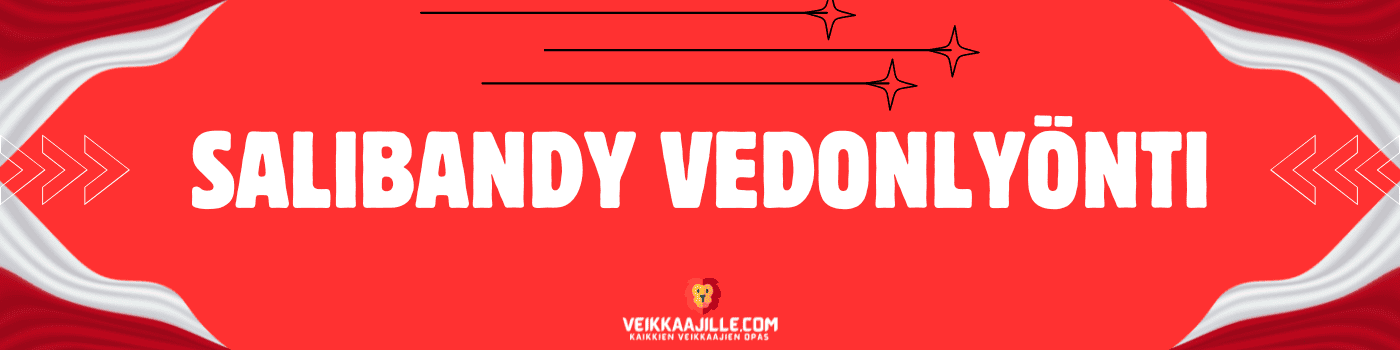 Salibandy vedonlyönti